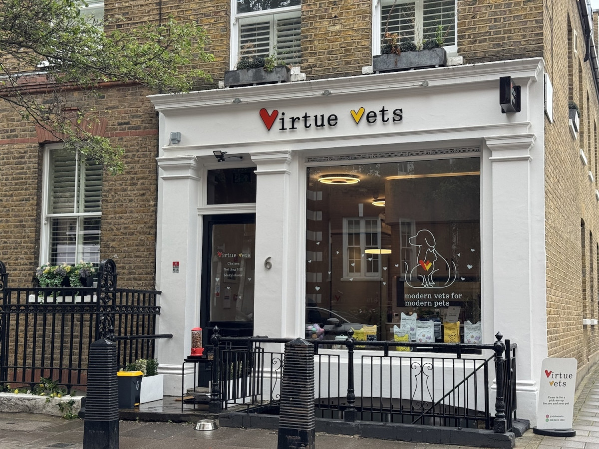Virtue Vets